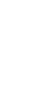 桜火